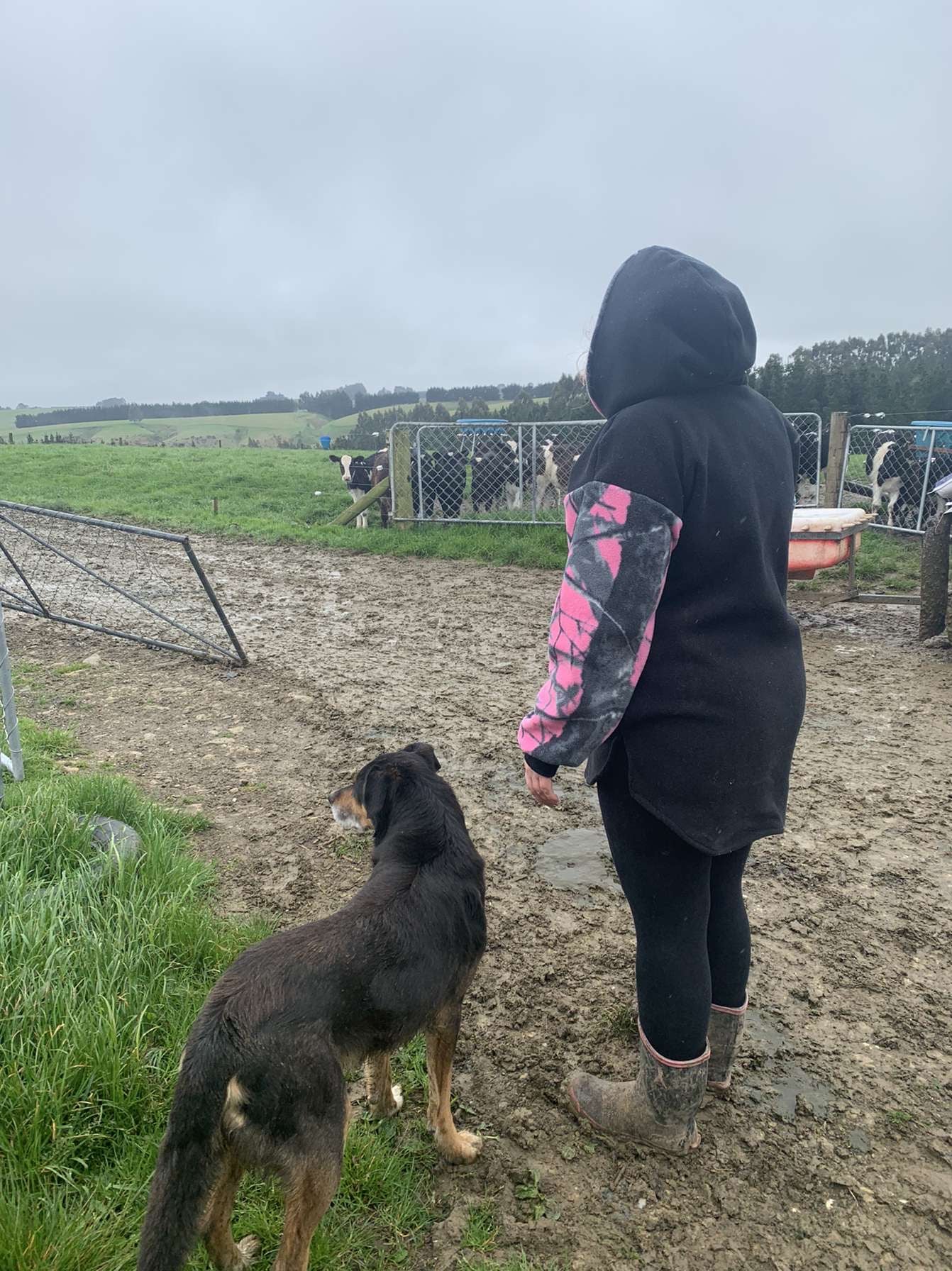 Breastfeeding Fleece Hoodie - Black with Pink/Blue Split